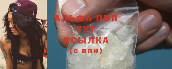 apvp Инта