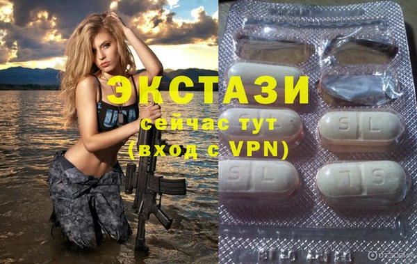 apvp Инта