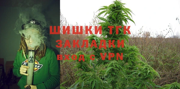 apvp Инта