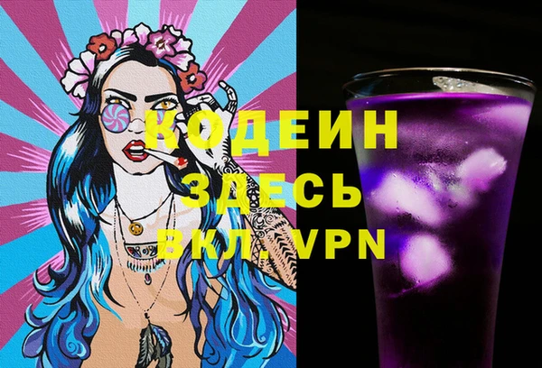 apvp Инта