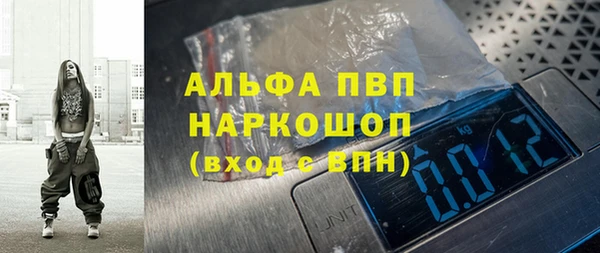 apvp Инта