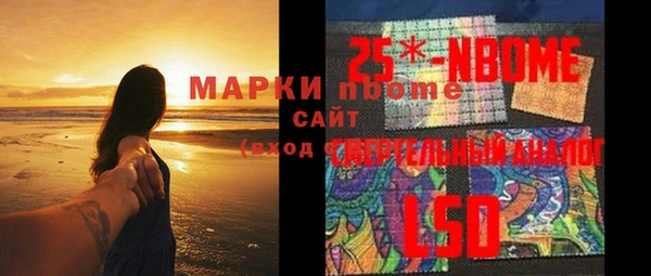 apvp Инта